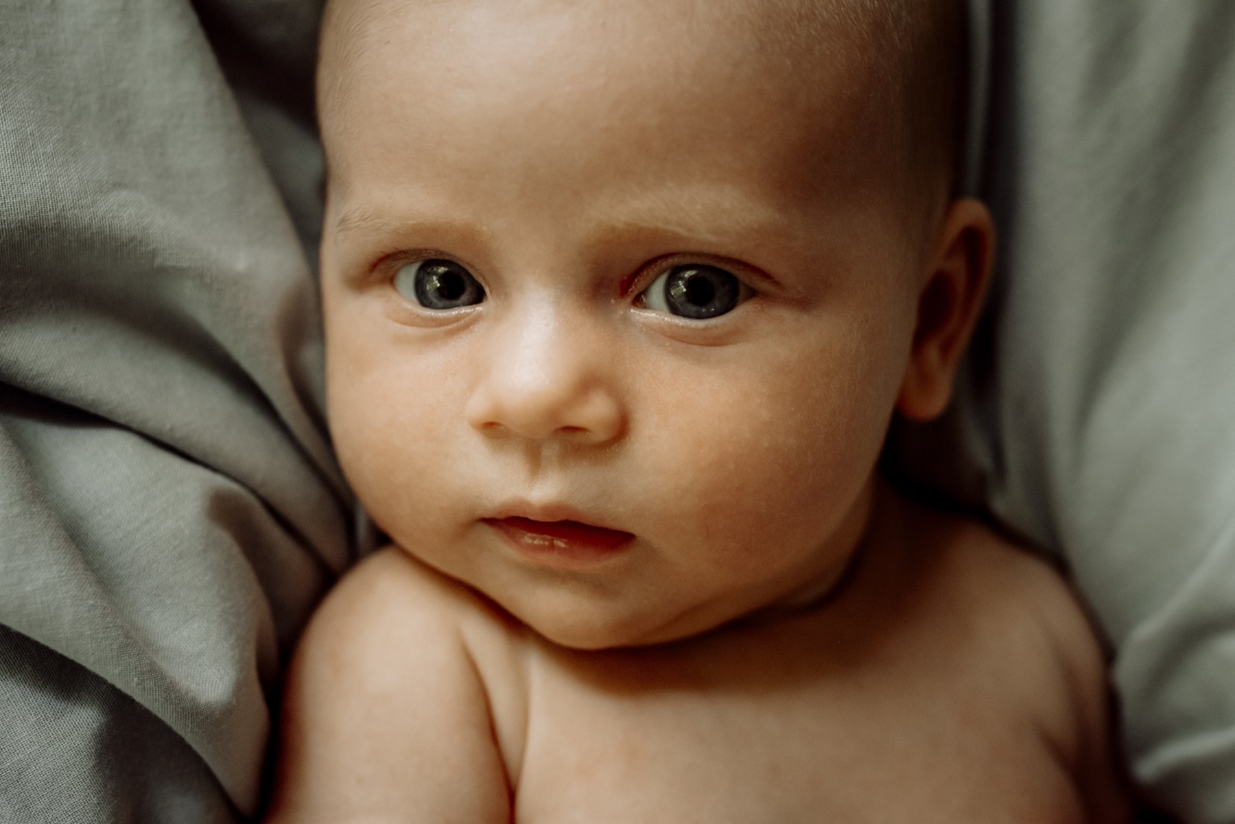 Close portrait of a baby looking toward the camera