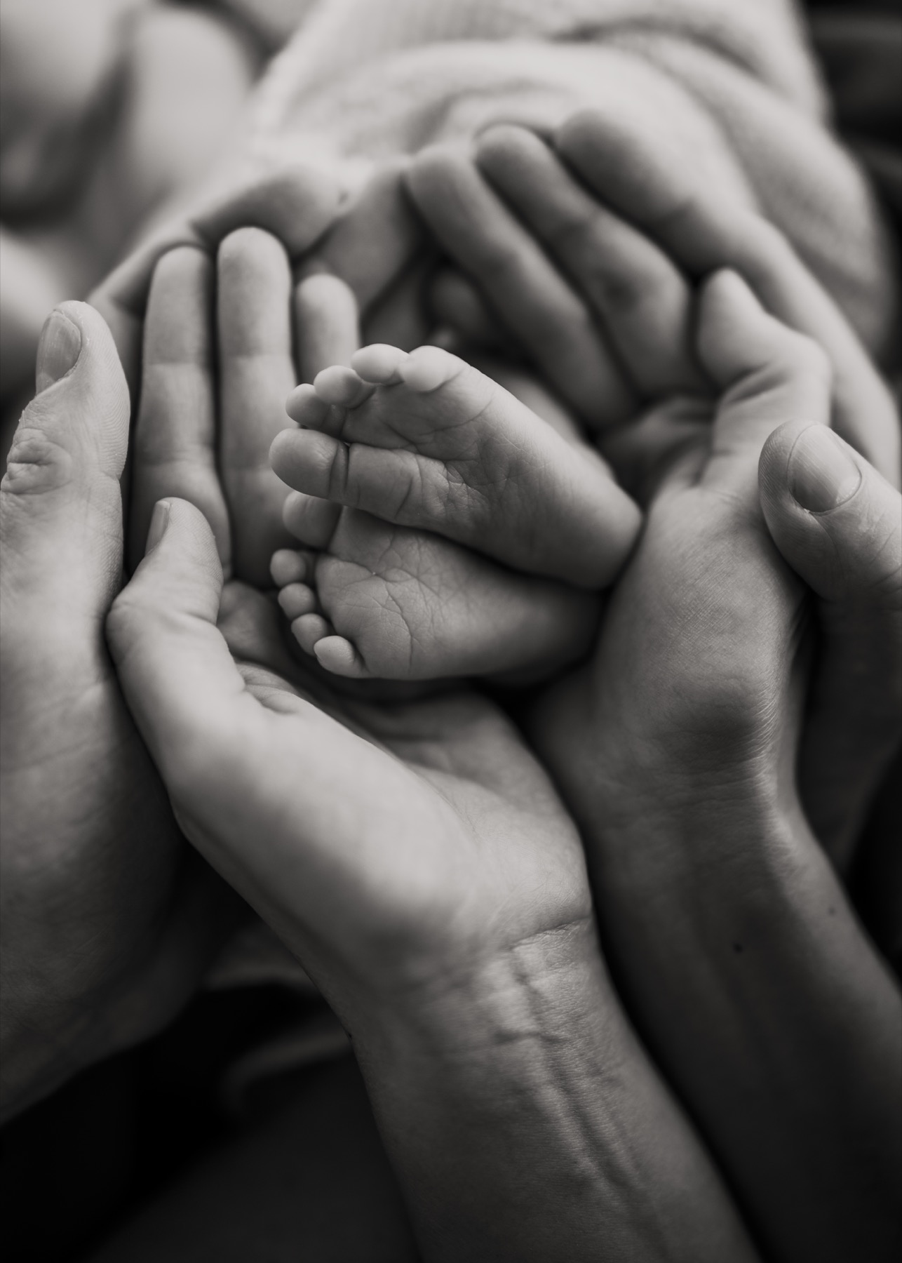 Tiny newborn feet held gently in adult hands